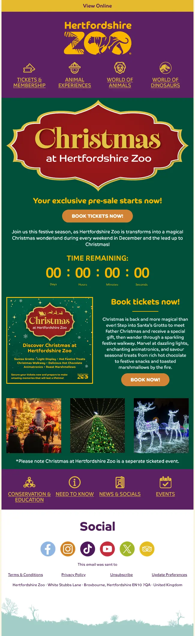 Christmas Pre-sale email